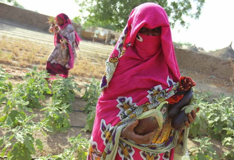 Thriving fields, lasting change: how nuclear science helps women farmers in Sudan leave hunger and poverty behind
