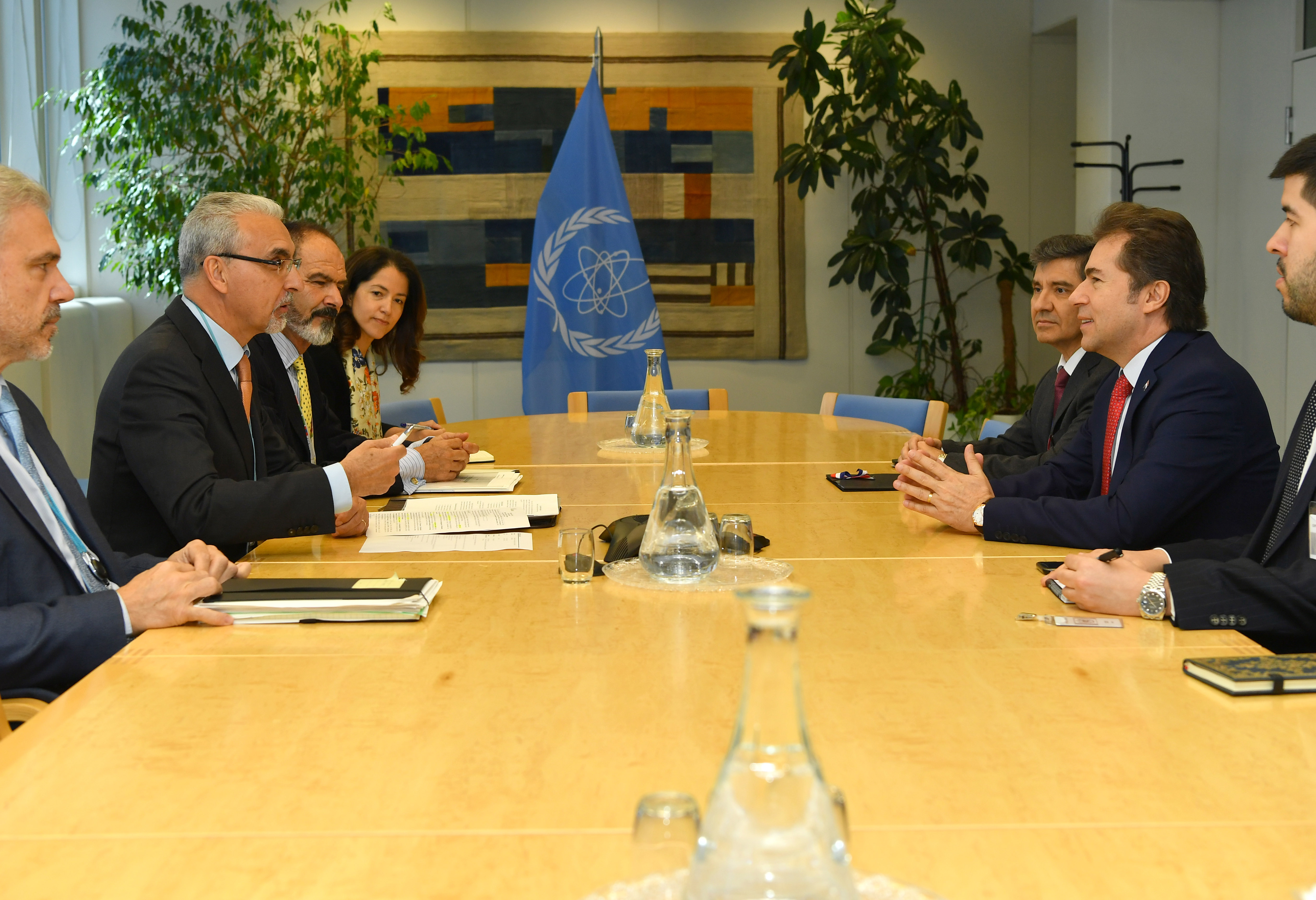 2019 Official Meetings and Visits to the Director General | IAEA