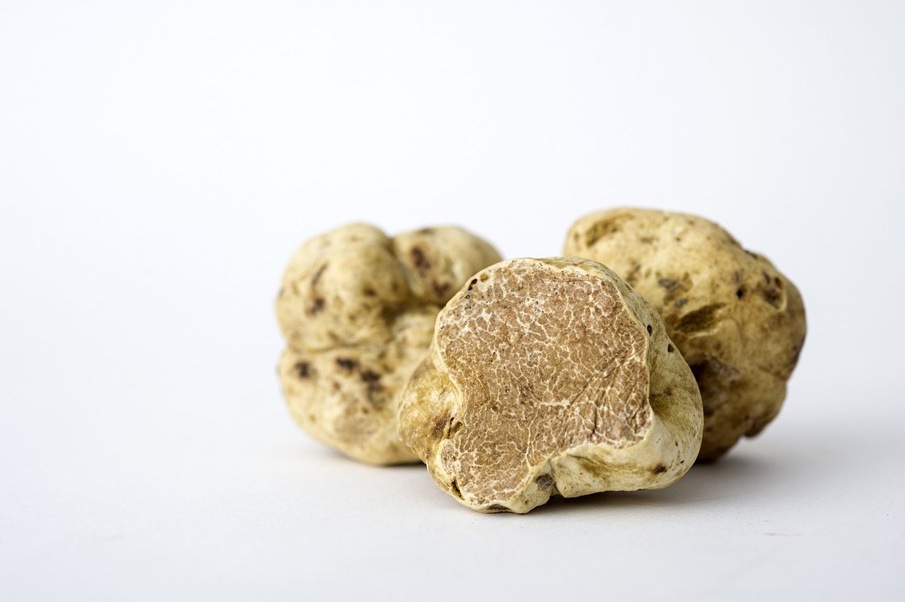 Scientists Detect Fake Truffles – The World's Most Expensive Food | IAEA