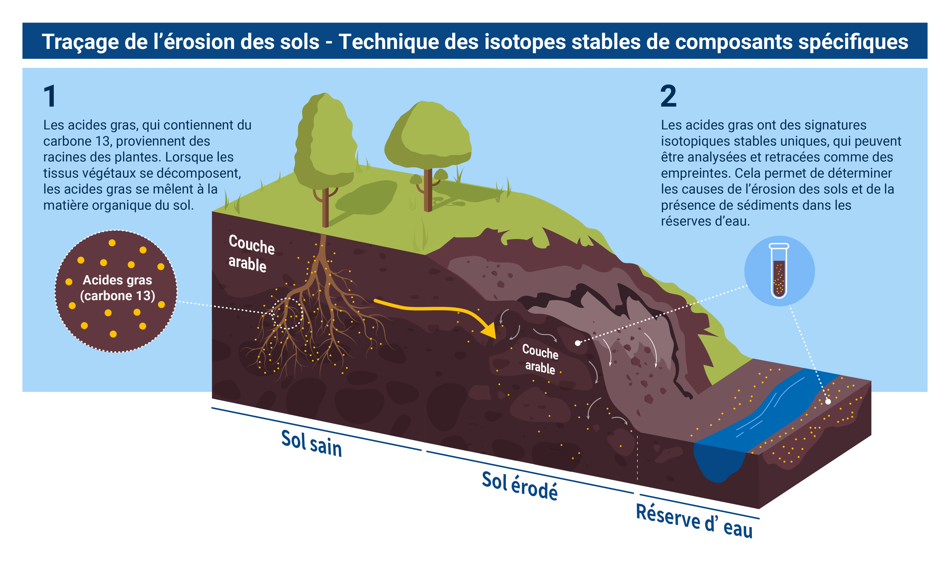 Qu'est-ce que l'érosion des sols ? Comment les techniques nucléaires  aident-elles à l'identifier et à l'atténuer ? | AIEA