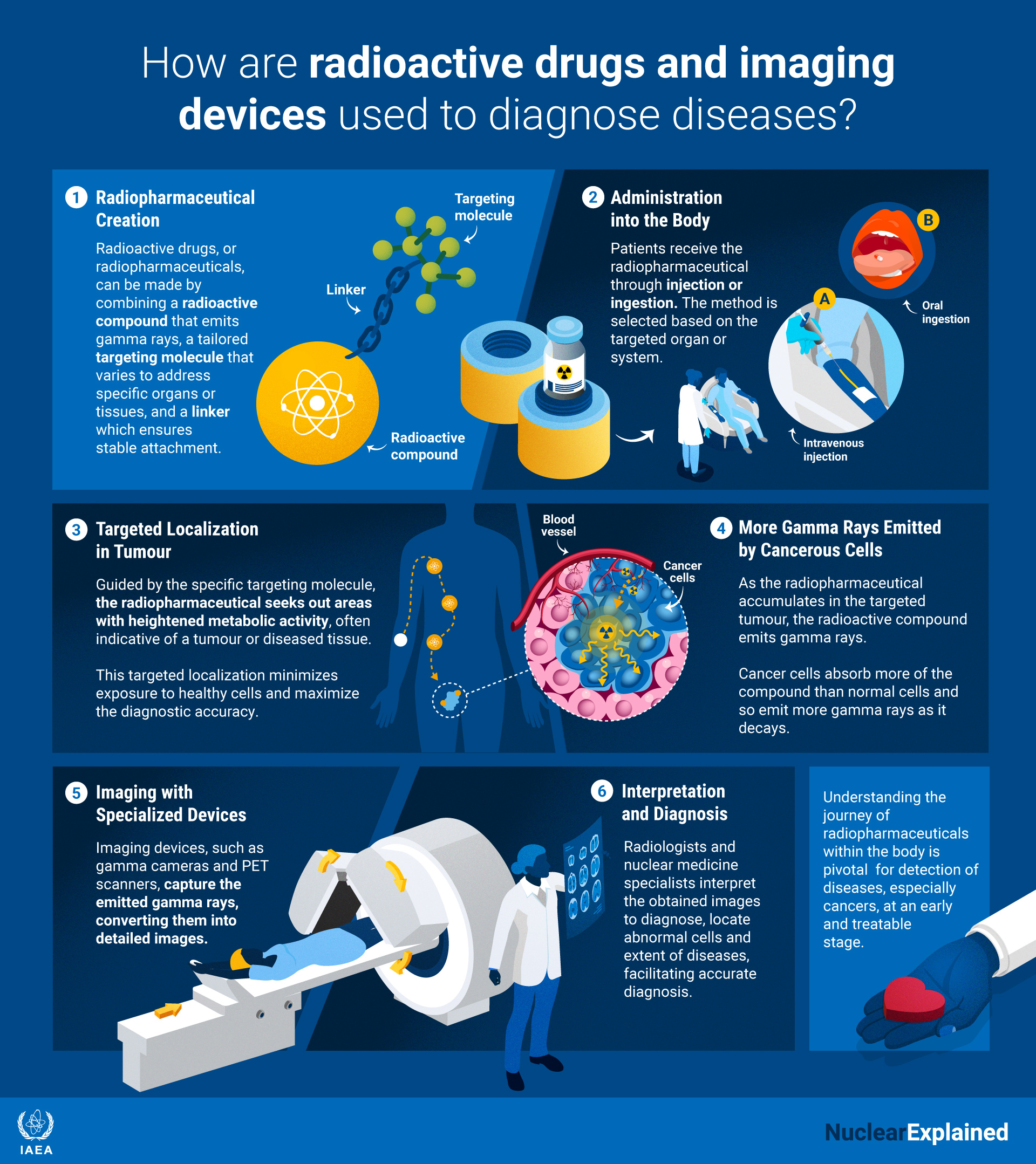 An infographic showing how radiopharmaceuticals are used in diagnosis