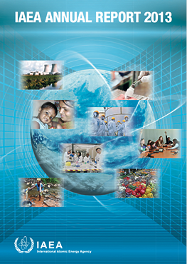 IAEA Annual Report for 2013