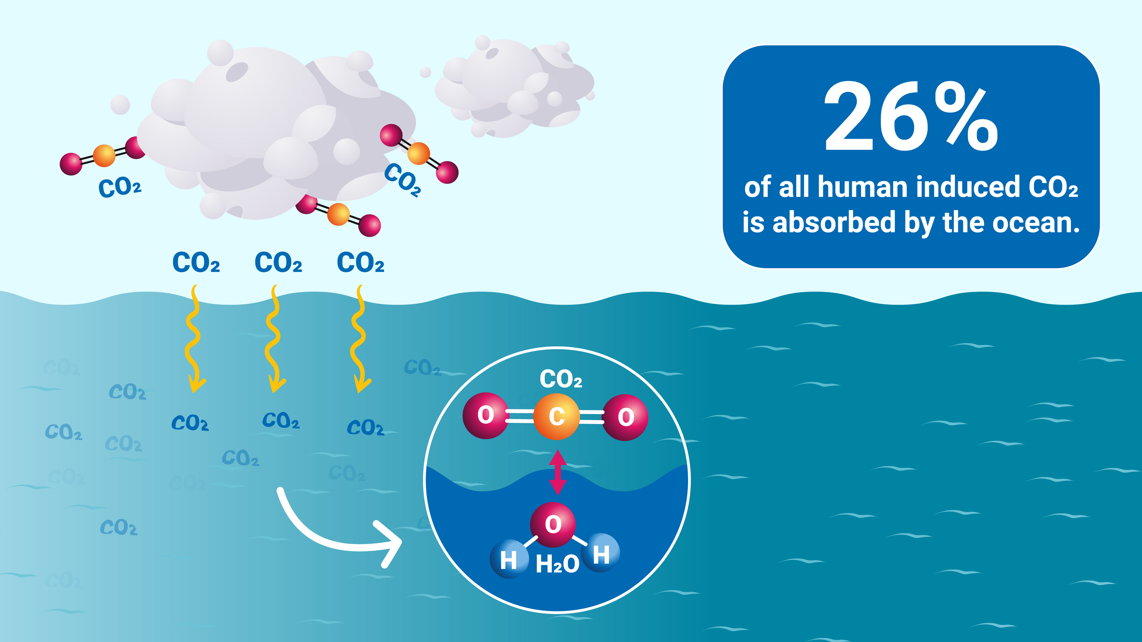 How Carbon Emissions Acidify Our Ocean IAEA