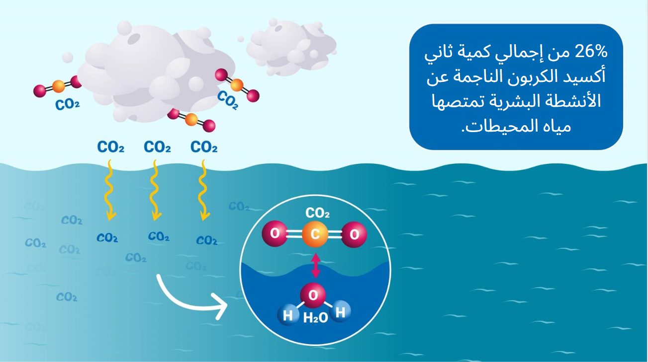 كيف تتسبب انبعاثات الكربون في تحمض مياه المحيطات | IAEA