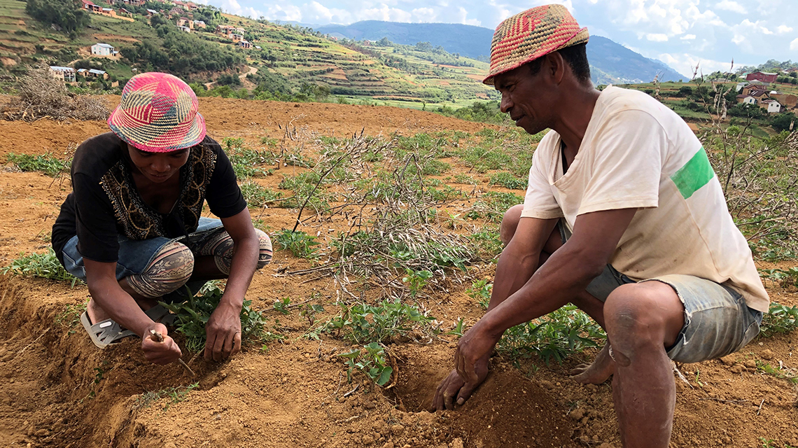 Controlling Erosion And Land Degradation In Madagascar With The Help Of Nuclear Techniques Iaea