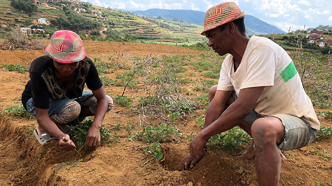 Controlling Erosion And Land Degradation In Madagascar With The Help Of 