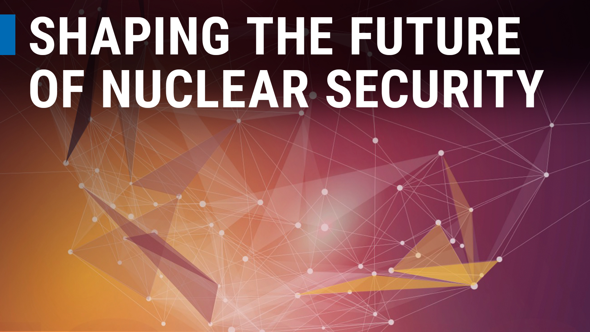 International Conference on Nuclear Security Shaping the Future (ICONS