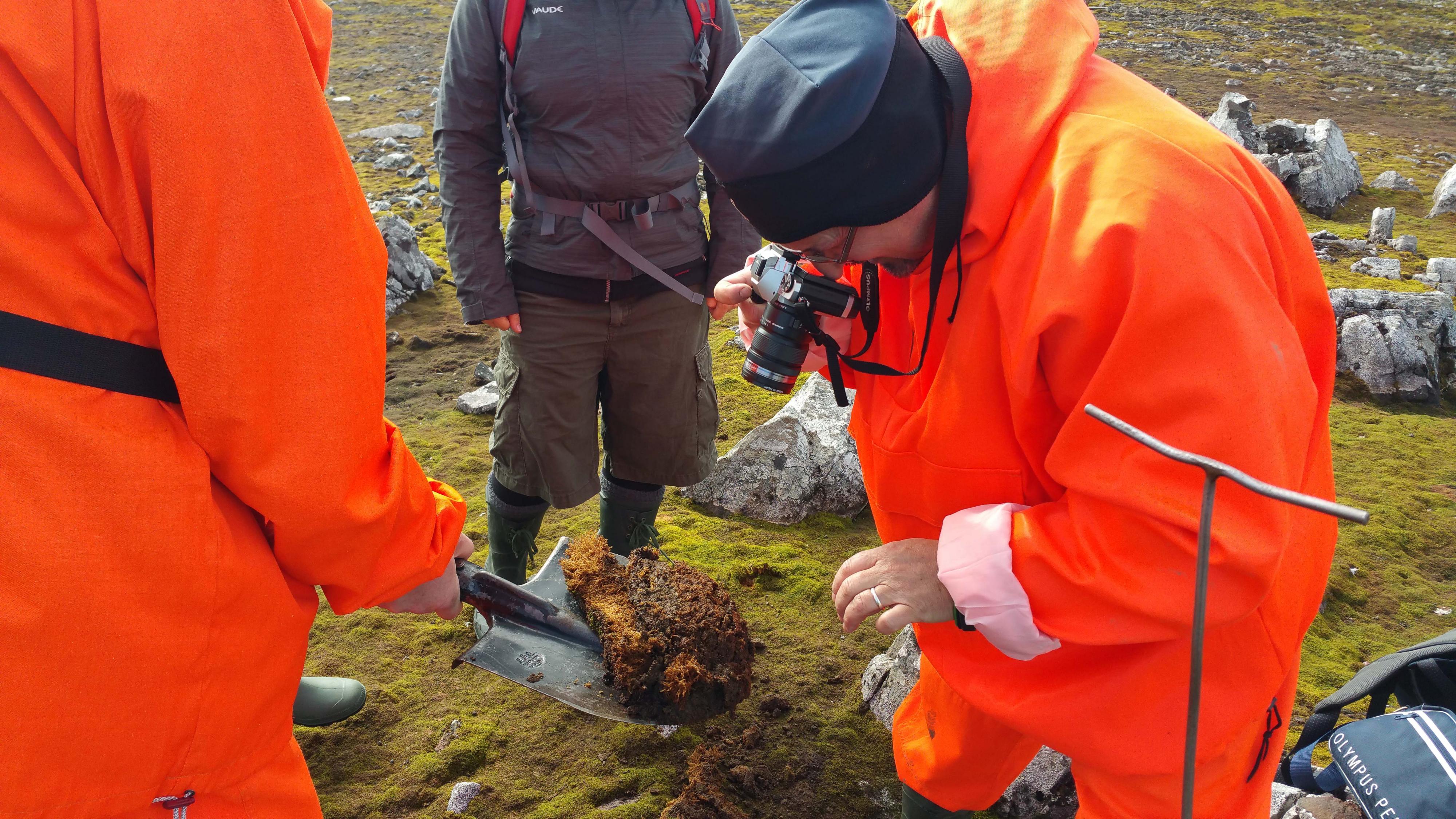 Scientist examines soil samples in Antarctica