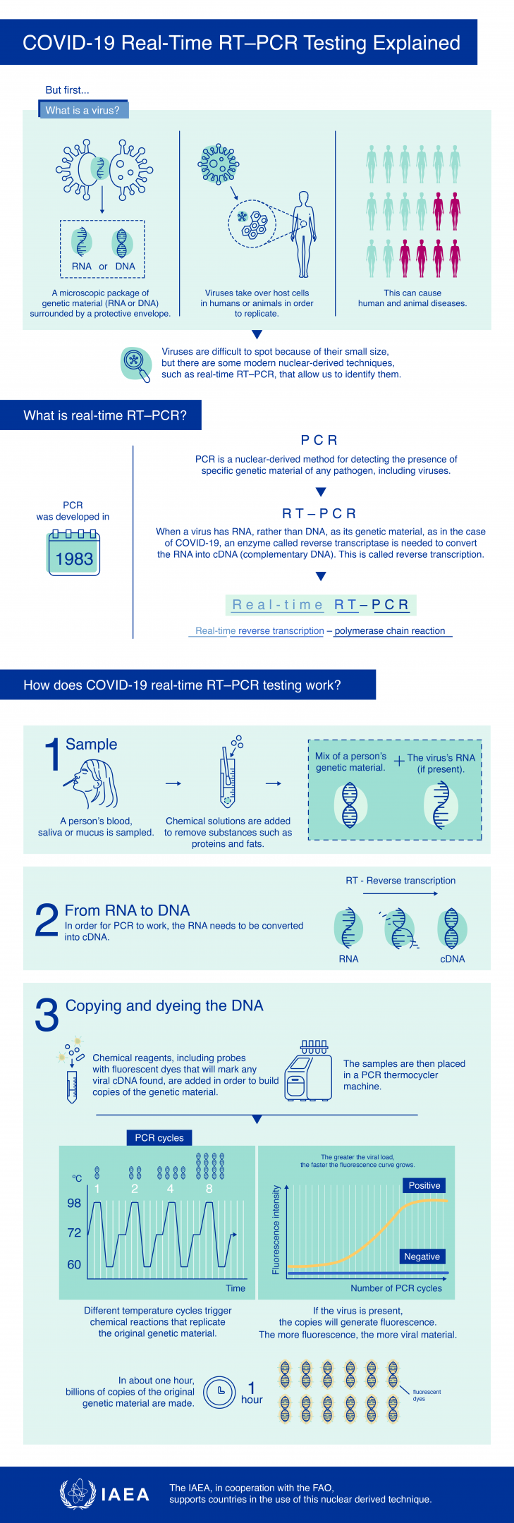COVID-19 Real-Time RT–PCR Testing Explained | IAEA