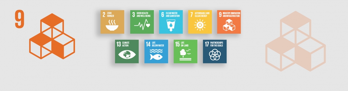 Sustainable Development Goal 9: Industry, innovation and 