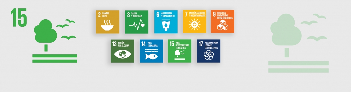 Objetivo de Desarrollo Sostenible 15: Vida de ecosistemas terrestres | OIEA