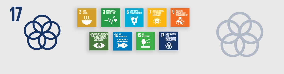 Objectif de développement durable 17 : partenariats pour la réalisation des  objectifs | AIEA