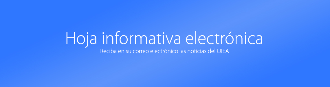 e_newsletter_spanish