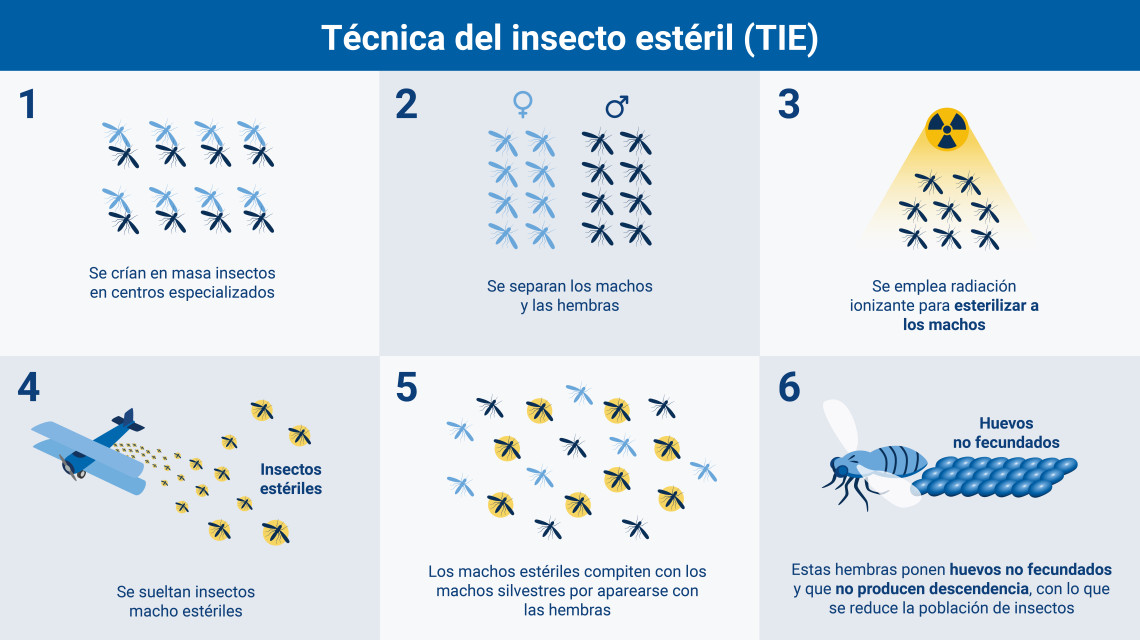 Técnica del insecto estéril (TIE)