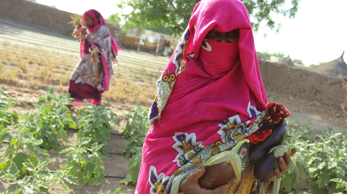How Nuclear Technology Helps Women Farmers In Sudan Move Out Of Poverty Iaea