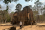 Cambodia is home to many unique cultural sites, four of which are recognized as UNESCO World Heritage Sites. However, this heritage is at risk of deterioration, damage or loss due to the country’s tropical climate.

<br /><br />

(Photo: L. Bassel/IAEA) 
