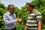 Farmer Moufaq Bashtawi in discussion with Setan Al-serhan on how his fruit production has benefited from the SIT control method.