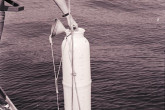 Scientists from the IAEA laboratories in Monaco collect samples of sea water and fresh plankton from the Mediterranean for studies about the effects of radioactivity on the sea and marine life. 1966. Please credit IAEA