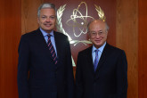 On 13 May 2013, H.E. Mr. Didier Reynders, Deputy Prime Minister and Minister for Foreign Affairs, Foreign Trade and European Affairs of Belgium met IAEA Director General Yukiya Amano during the Minister's visit to the IAEA headquarters in Vienna, Austria.