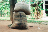 Sacks of cocoa beans from Ghana, bound for markets to make chocolate and cocoa products.  Worldwide, chocolate consumption tops billions of kilograms a year - figures show that Europeans alone consume about 40% of the world's cocoa each year, nearly all of it imported from Ghana and other countries of West Africa.