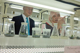 IAEA Director General Yukiya Amano tours the Brunei Agricultural Research Centre during his official visit to Brunei. 29 January 2015      