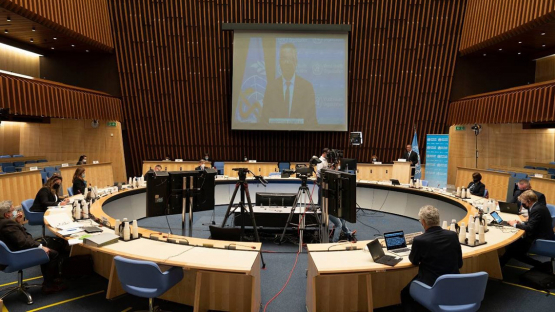 148th session of the WHO Executive Board, Geneva, Switzerland, 18 January 2021