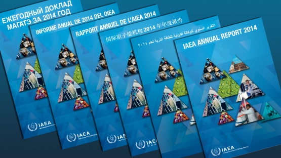 IAEA Publishes Annual Report for 2014