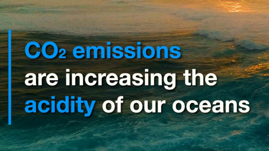 CO2 Emissions Increase Ocean Acidity