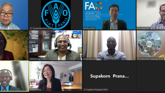 Participants of the International technical webinar on enhancing agrifood systems through climate-smart and nutrition-dense crops engaging during the webinar. 