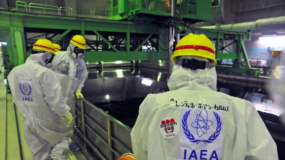 A team of IAEA experts, led by the IAEA Department of Nuclear Energy's Juan Carlos Lentijo (right), peer into the Common Spent Fuel Pool at TEPCO's Fukushima Daiichi Nuclear Power Station, 27 November 2013