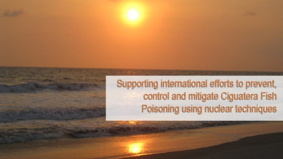 The Asia and Pacific region, including small island developing states, are under threat, year round, from seafood toxicity caused by marine algae. 