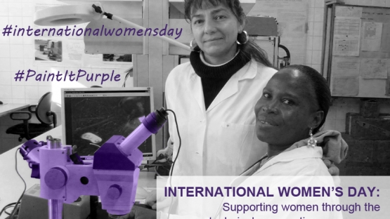 Each year International Women’s Day is observed on 8 March. The day represents an opportunity to celebrate the achievements of women. 
<br><br>
The IAEA’s technical cooperation programme works to help women reach their goals and succeed in the field of nuclear science and technology. 