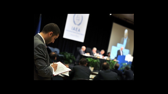 IAEA Chief Urges States' Vigorous Action in Implementing Nuclear Safety  Action Plan | IAEA