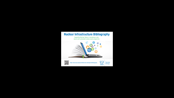 Nuclear Infrastructure Bibliography