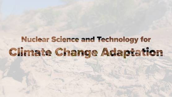 Nuclear Science and Technology for Climate Change Adaption