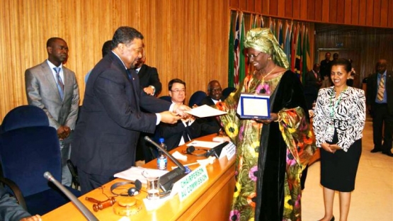 African Union Regional Award 