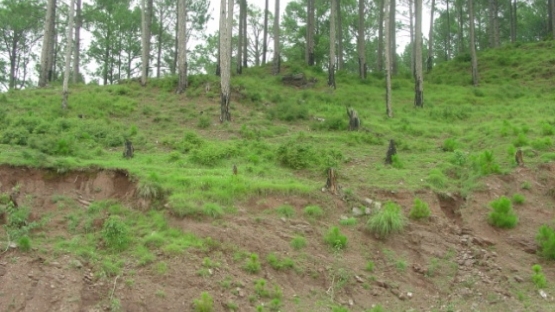 eroding soil Pakistan