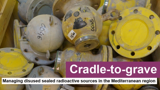 Yellow metal capsules containing sealed radioactive sources.