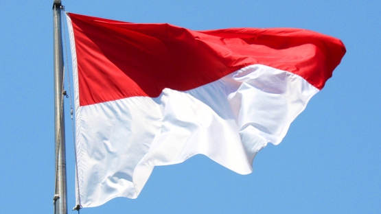 Flag of Indonesia