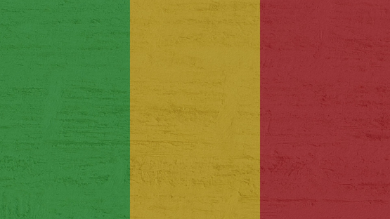 IAEA Assists Mali in Preparing Comprehensive National Nuclear Legislation