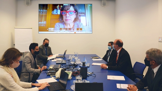 Isabel Villanueva (screen), Head of the Cabinet of the Secretary General in Spain’s Nuclear Safety Council, addresses participants of the IAEA virtual technical meeting on regulatory processes held from 27 to 30 October 2020.