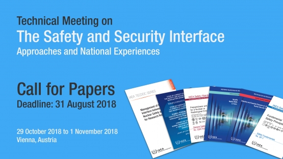 Technical Meeting on the Safety and Security Interface