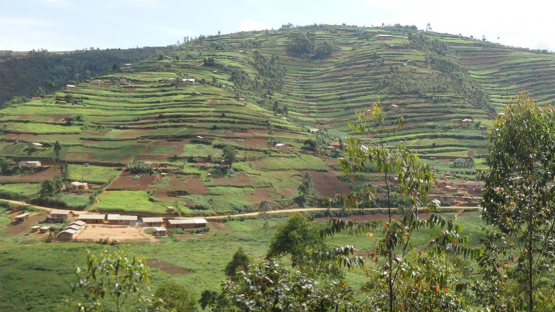 The mountainous agricultural region in Uganda’s southwestern highlands are affected by soil erosion