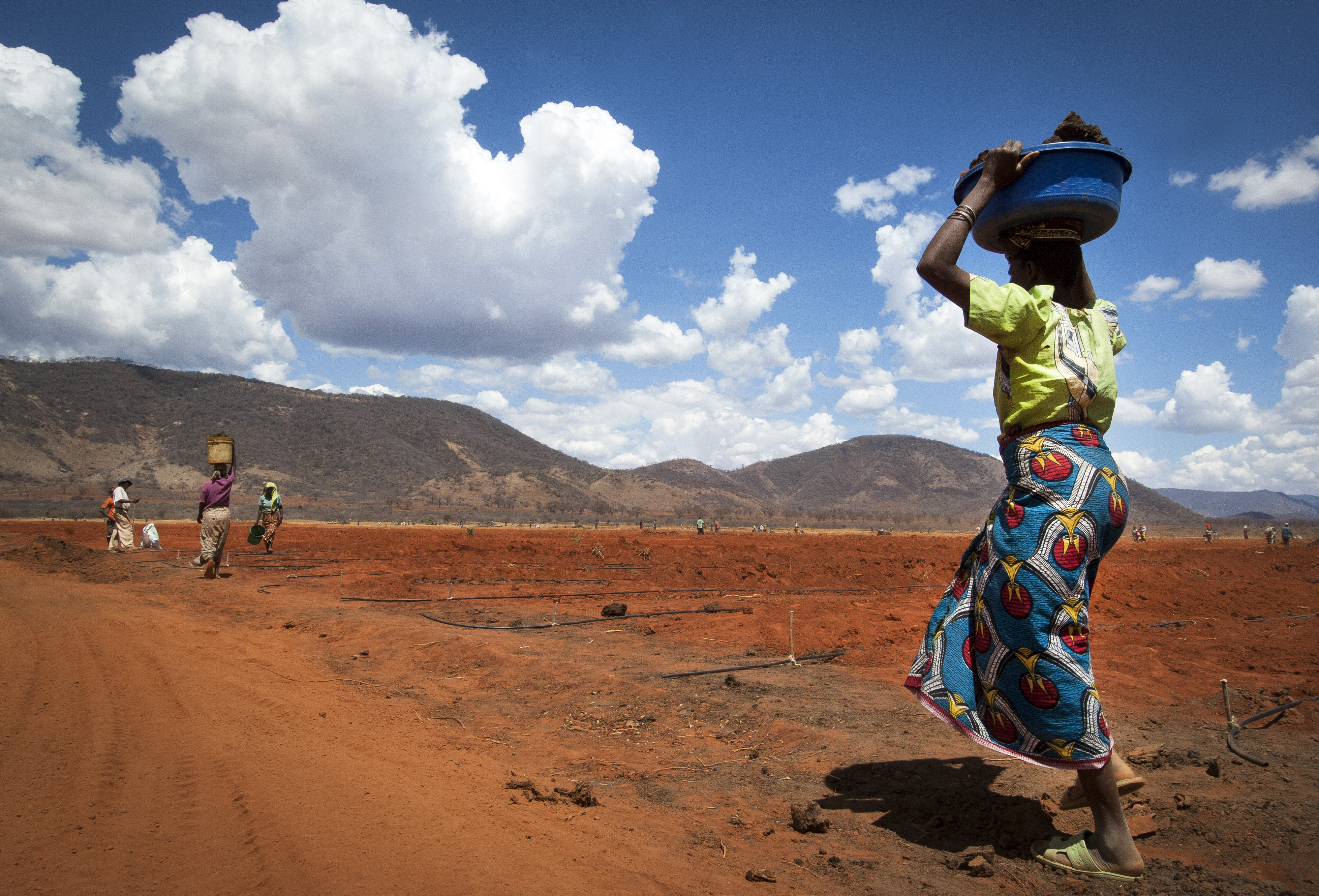 Global Symposium on Soils for Nutrition (GSOIL4N) - Soils, where